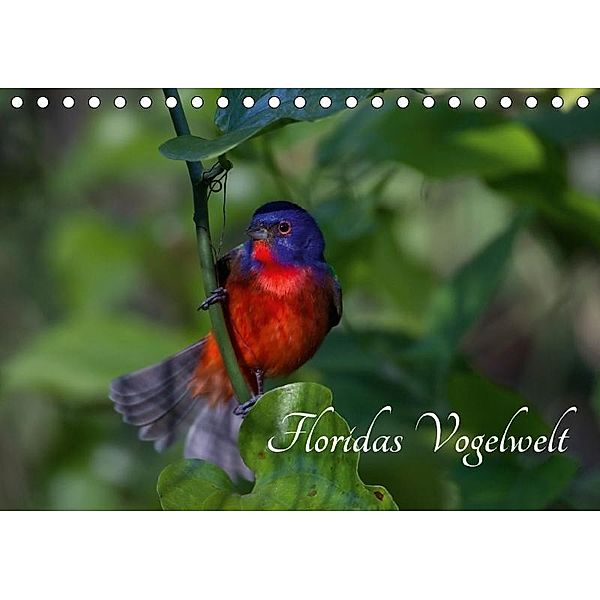 Floridas Vogelwelt (Tischkalender 2017 DIN A5 quer), Ralf Weise / natureinimages.com