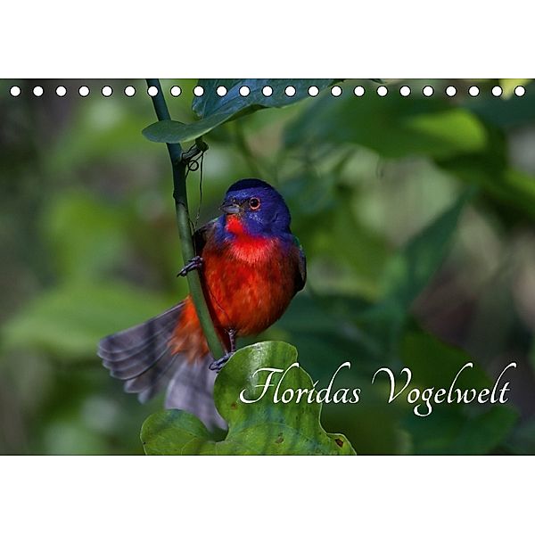 Floridas Vogelwelt (Tischkalender 2018 DIN A5 quer) Dieser erfolgreiche Kalender wurde dieses Jahr mit gleichen Bildern, Ralf Weise / natureinimages.com