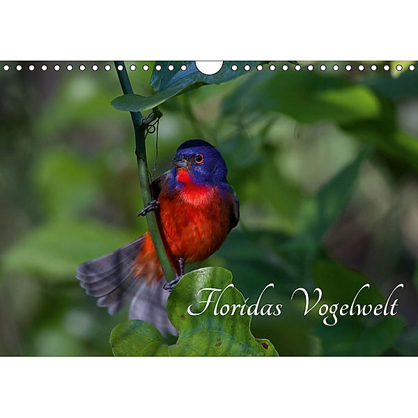 Floridas Vogelwelt (Wandkalender 2019 DIN A4 quer), Ralf Weise / natureinimages.com