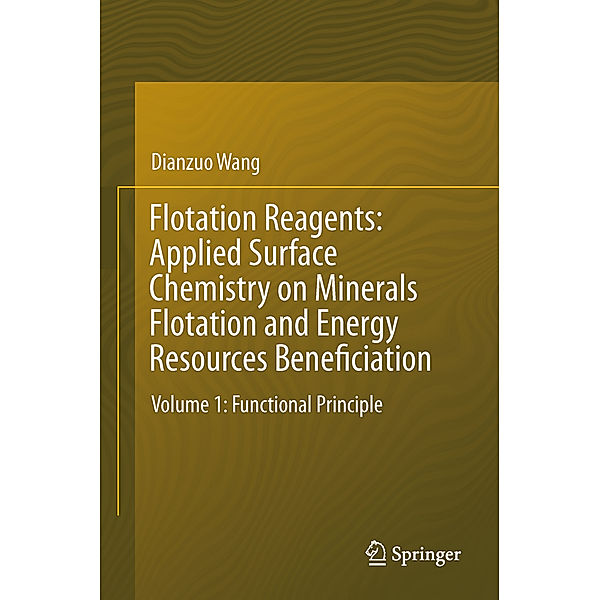 Flotation Reagents: Applied Surface Chemistry on Minerals Flotation and Energy Resources Beneficiation, Dianzuo Wang