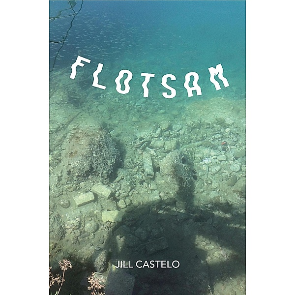 Flotsam (The Artemesis Mysteries, #1) / The Artemesis Mysteries, Jill Castelo