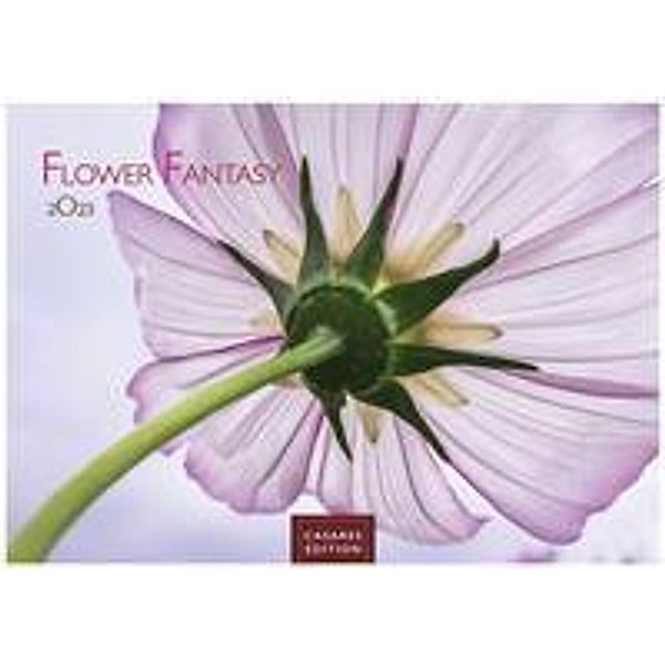 Flower Fantasy 2023 S 24x35cm