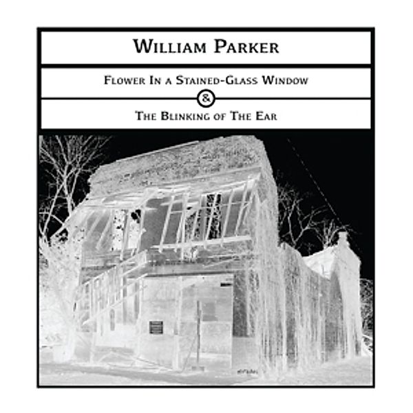 Flower In A Stained-Glass Window & The Blinking Of, William Parker