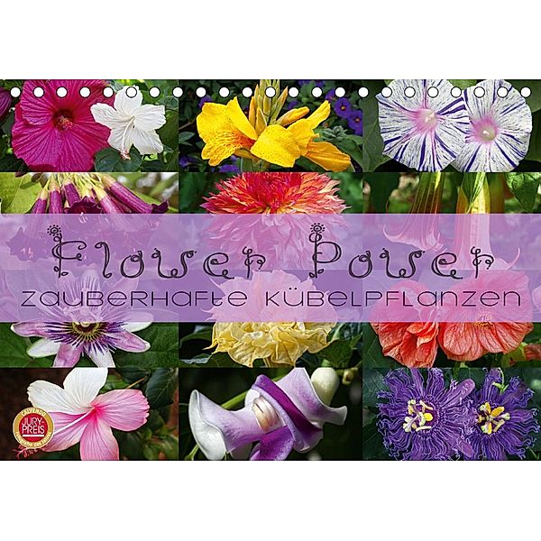 Flower Power - Zauberhafte Kübelpflanzen (Tischkalender 2021 DIN A5 quer), Martina Cross