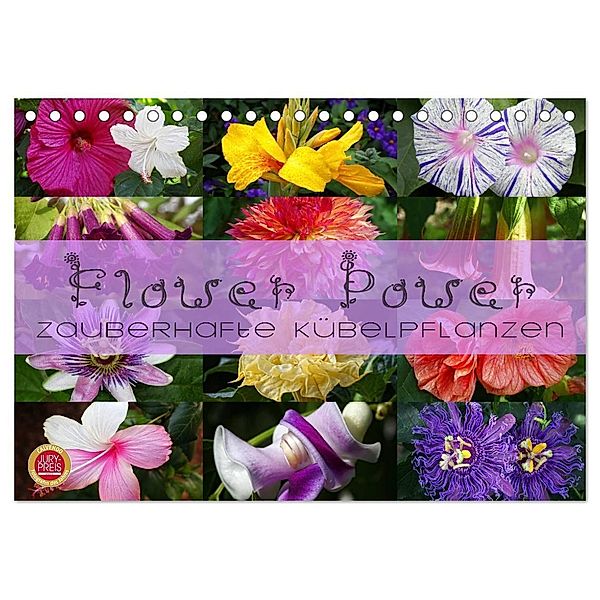 Flower Power - Zauberhafte Kübelpflanzen (Tischkalender 2024 DIN A5 quer), CALVENDO Monatskalender, Martina Cross