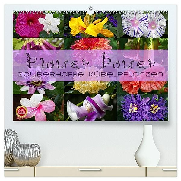 Flower Power - Zauberhafte Kübelpflanzen (hochwertiger Premium Wandkalender 2024 DIN A2 quer), Kunstdruck in Hochglanz, Martina Cross