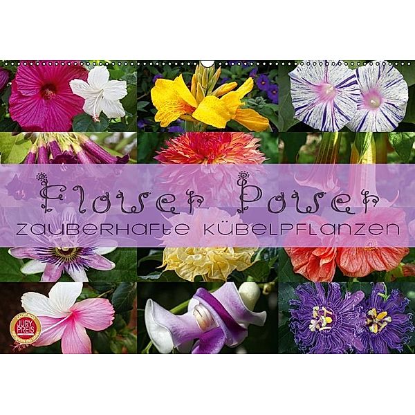 Flower Power - Zauberhafte Kübelpflanzen (Wandkalender 2019 DIN A2 quer), Martina Cross