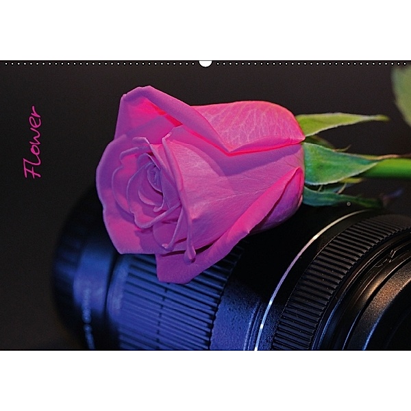 Flower (Wandkalender 2014 DIN A2 quer), Andrea Damm