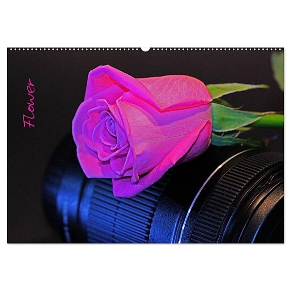 Flower (Wandkalender 2024 DIN A2 quer), CALVENDO Monatskalender, Andrea Damm