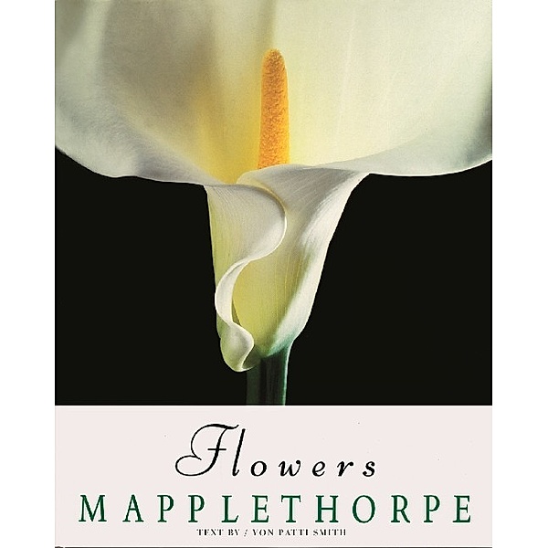 Flowers, Robert Mapplethorpe