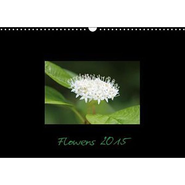 Flowers 2015 (Wandkalender 2015 DIN A3 quer), Kleverveer