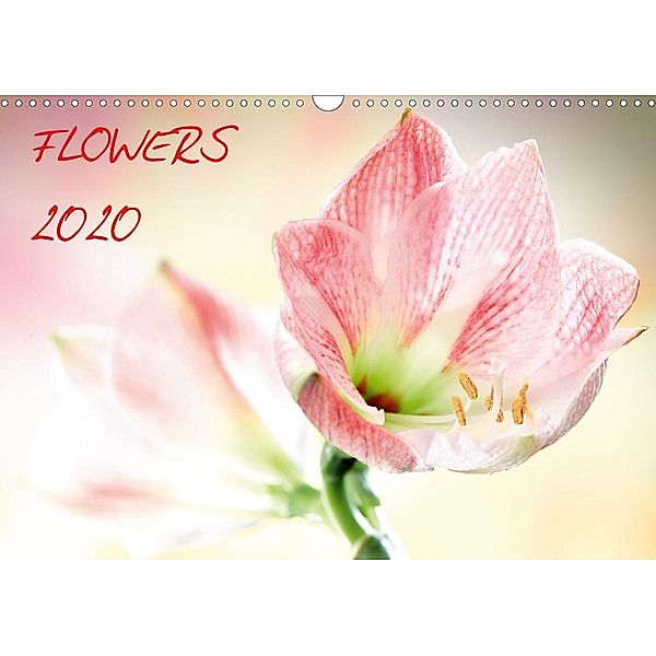 Flowers / 2020 (Wandkalender 2020 DIN A3 quer), Axel Waldecker