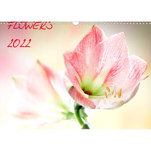 Flowers / 2022 (Wandkalender 2022 DIN A3 quer), Axel und Max Waldecker