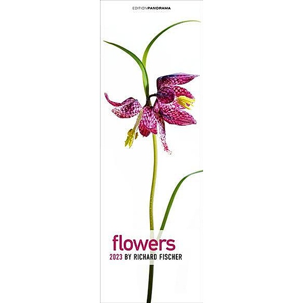 Flowers 2023, Richard Fischer