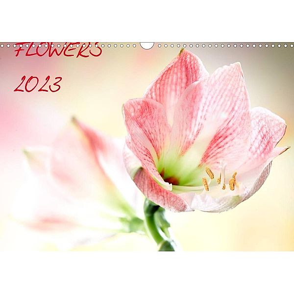 Flowers / 2023 (Wandkalender 2023 DIN A3 quer), Axel und Max Waldecker