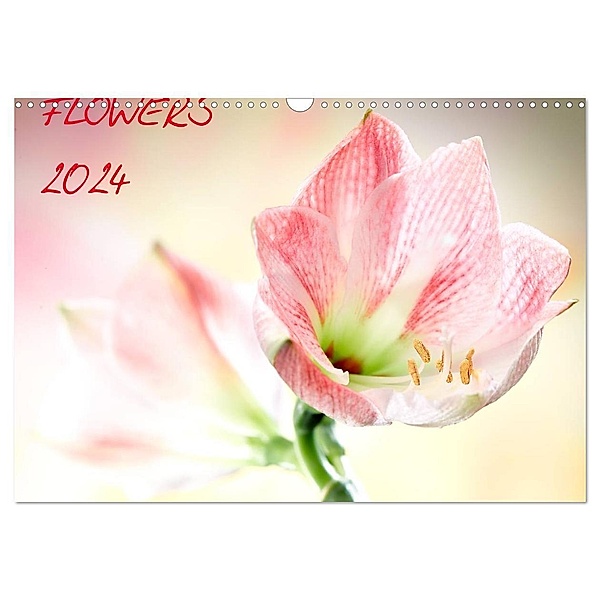 Flowers / 2024 (Wandkalender 2024 DIN A3 quer), CALVENDO Monatskalender, Axel und Max Waldecker