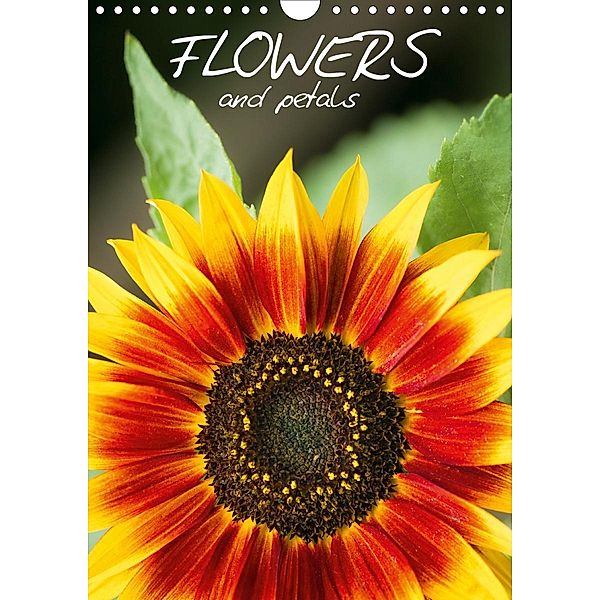 Flowers and Petals (Wall Calendar 2021 DIN A4 Portrait), Kevin Mcguinness