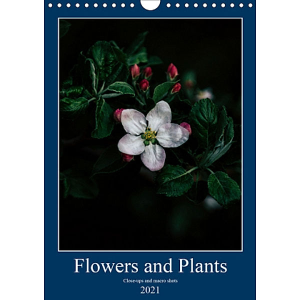 Flowers and Plants 2021 (Wall Calendar 2021 DIN A4 Portrait), Max Ddos