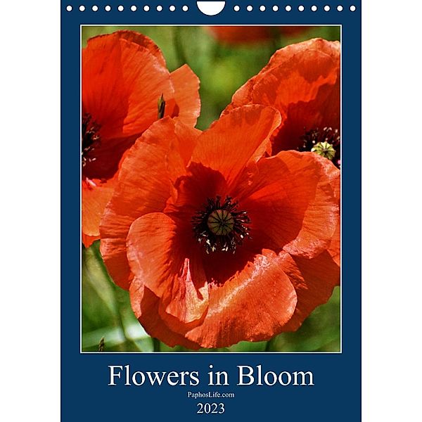 Flowers in Bloom (Wall Calendar 2023 DIN A4 Portrait), Polemiart