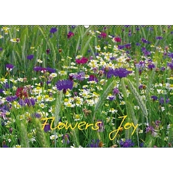 Flowers Joy Great Britain Calendar Edition (Wall Calendar 2017 DIN A2 Landscape), Tanja Riedel