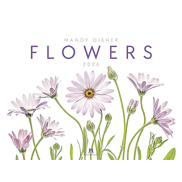 Flowers - Mandy Disher - Kalender 2024, Mandy Disher, Ackermann Kunstverlag