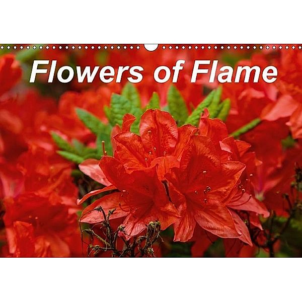 Flowers of Flame (Wall Calendar 2017 DIN A3 Landscape), David Knowles