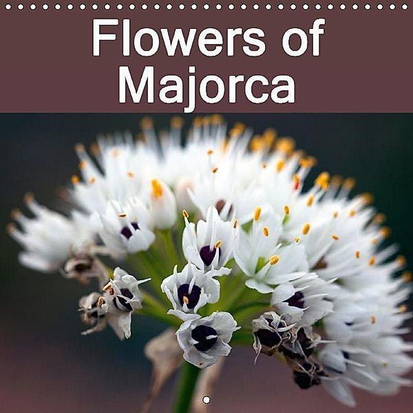 Flowers of Majorca (Wall Calendar 2017 300 × 300 mm Square), Angelika Stern
