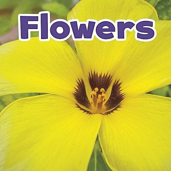 Flowers / Raintree Publishers, Marissa Kirkman