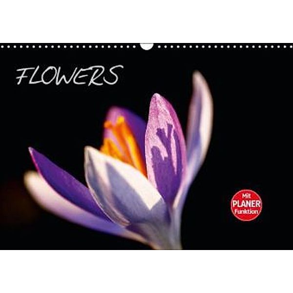Flowers (Wandkalender 2016 DIN A3 quer), Anette Jäger