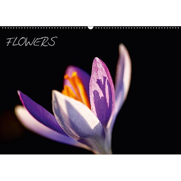 Flowers (Wandkalender 2018 DIN A2 quer), Thomas Jäger