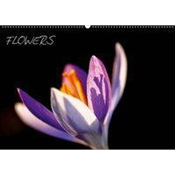 Flowers (Wandkalender 2019 DIN A2 quer), Thomas Jäger