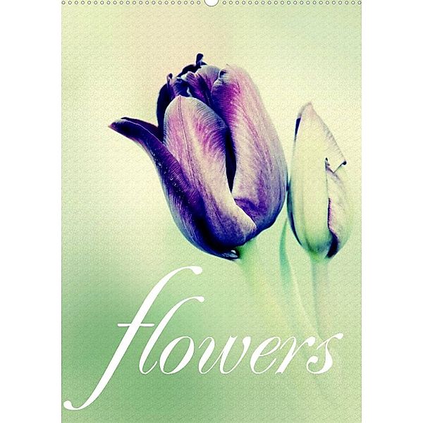 flowers (Wandkalender 2023 DIN A2 hoch), Brigitte Stehle