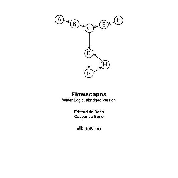 Flowscapes, Edward De Bono