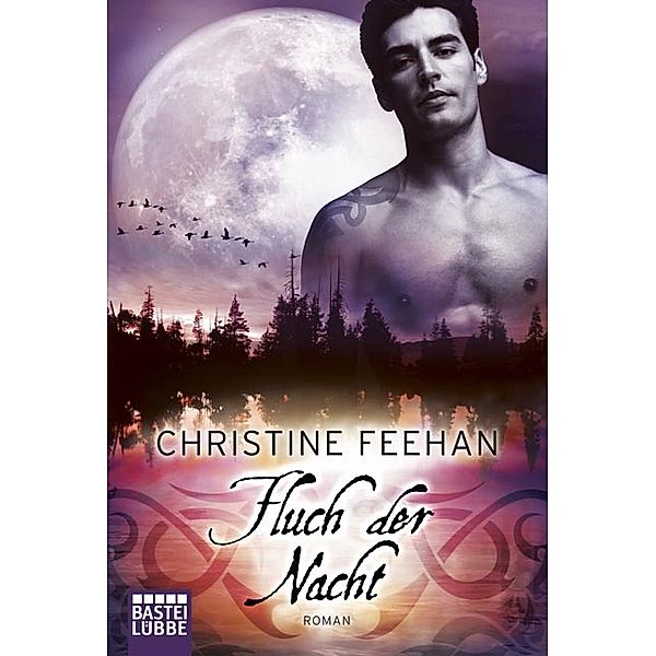 Fluch der Nacht / Dark Carpathians Bd.17, Christine Feehan