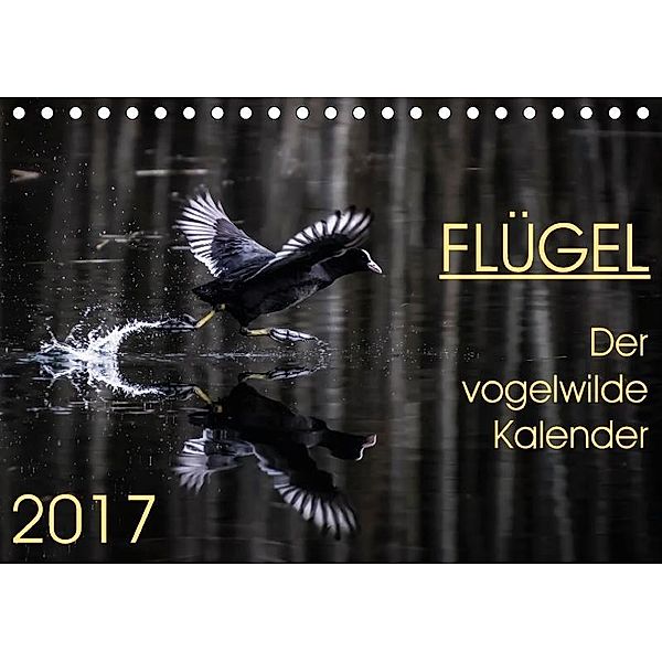 Flügel 2017 Der vogelwilde Kalender (Tischkalender 2017 DIN A5 quer), Irma van der Wiel