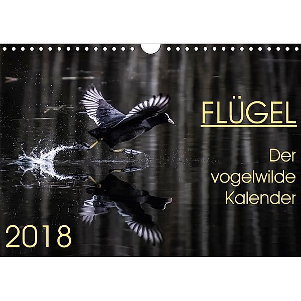 Flügel 2018 Der vogelwilde Kalender (Wandkalender 2018 DIN A4 quer) Dieser erfolgreiche Kalender wurde dieses Jahr mit g, Irma van der Wiel, Irma van der Wiel
