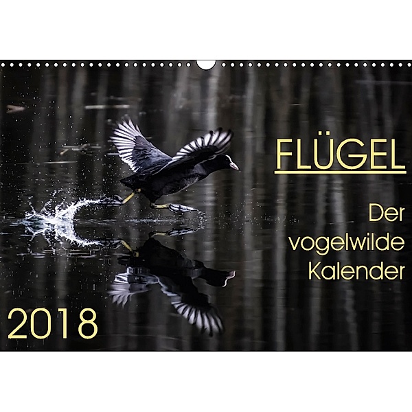 Flügel 2018 Der vogelwilde Kalender (Wandkalender 2018 DIN A3 quer) Dieser erfolgreiche Kalender wurde dieses Jahr mit g, Irma van der Wiel, Irma van der Wiel