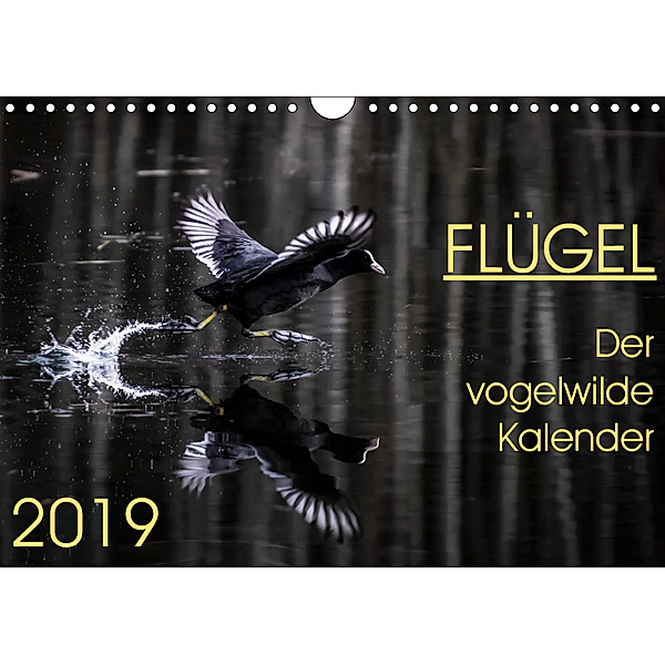 Flügel 2019 Der vogelwilde Kalender (Wandkalender 2019 DIN A4 quer), Irma van der Wiel