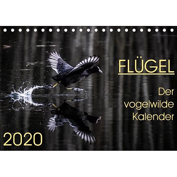Flügel 2020 Der vogelwilde Kalender (Tischkalender 2020 DIN A5 quer), Irma van der Wiel