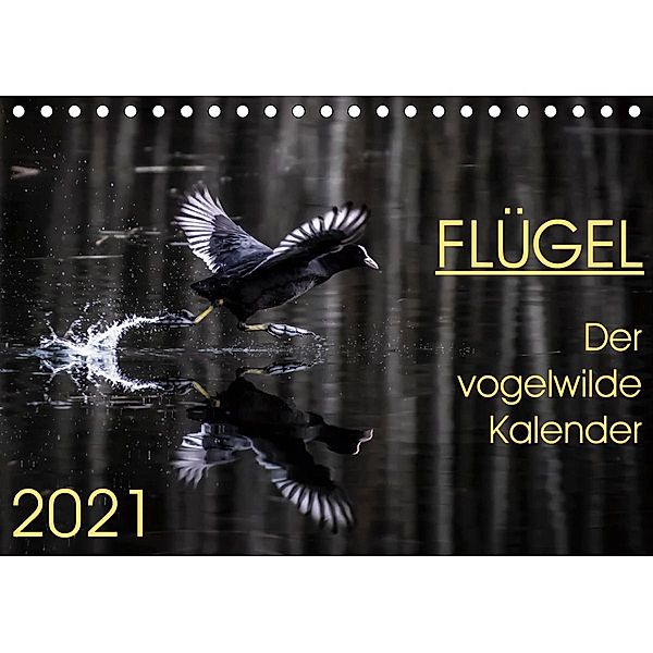 Flügel 2021 Der vogelwilde Kalender (Tischkalender 2021 DIN A5 quer), Irma van der Wiel