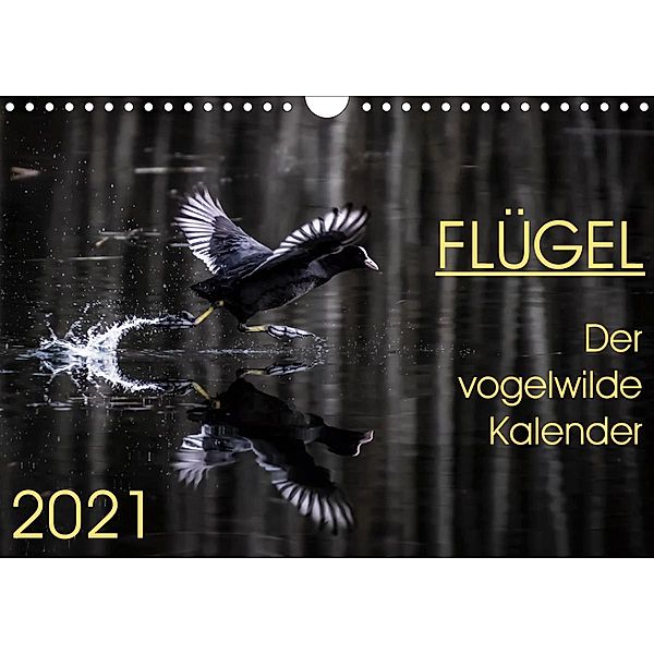 Flügel 2021 Der vogelwilde Kalender (Wandkalender 2021 DIN A4 quer), Irma van der Wiel