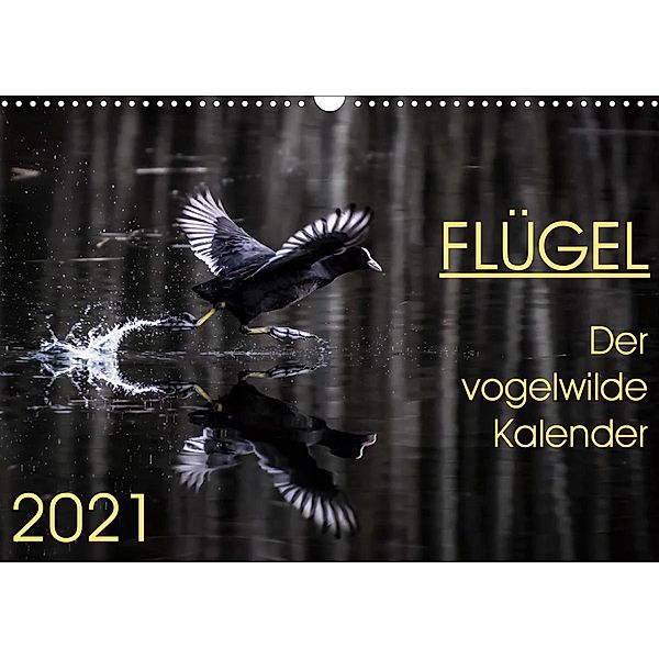 Flügel 2021 Der vogelwilde Kalender (Wandkalender 2021 DIN A3 quer), Irma van der Wiel
