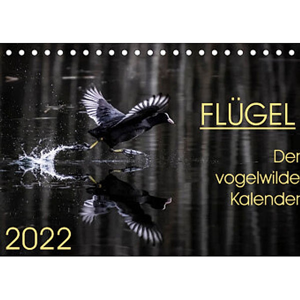 Flügel 2022    Der vogelwilde Kalender (Tischkalender 2022 DIN A5 quer), Irma van der Wiel