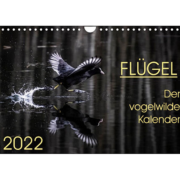 Flügel 2022    Der vogelwilde Kalender (Wandkalender 2022 DIN A4 quer), Irma van der Wiel