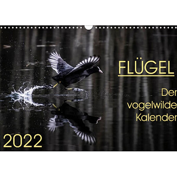 Flügel 2022    Der vogelwilde Kalender (Wandkalender 2022 DIN A3 quer), Irma van der Wiel