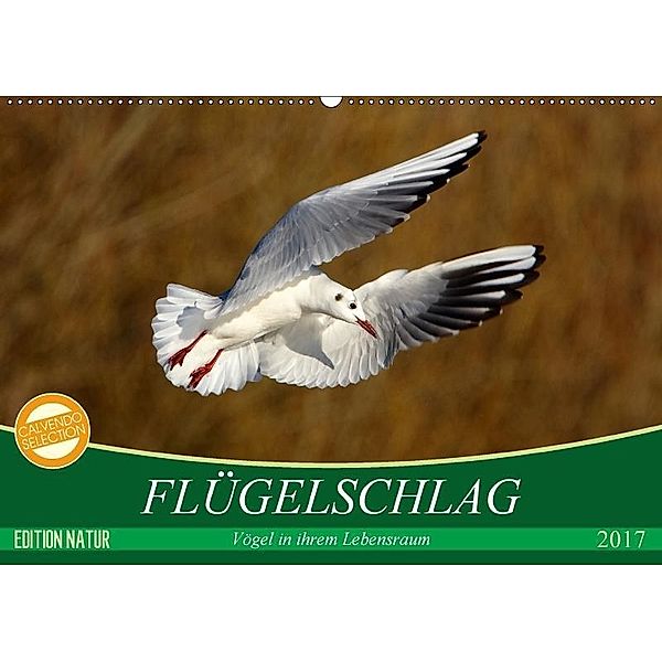 Flügelschlag - Vögel in ihrem natürlichen Lebensraum (Wandkalender 2017 DIN A2 quer), Axel  /  Elsner, Claudia Kottal