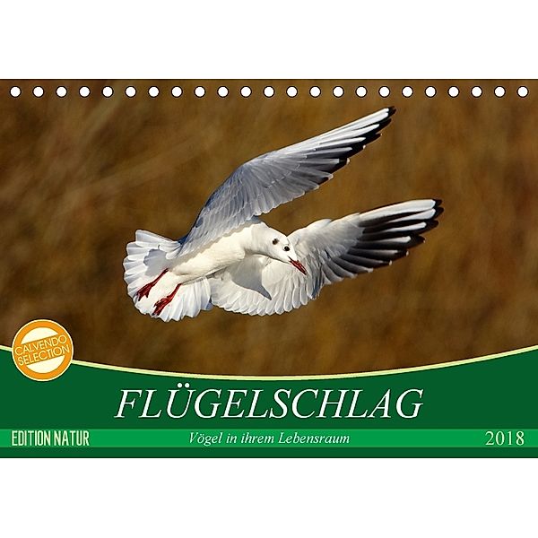 Flügelschlag - Vögel in ihrem natürlichen Lebensraum (Tischkalender 2018 DIN A5 quer), Axel  /  Elsner, Claudia Kottal