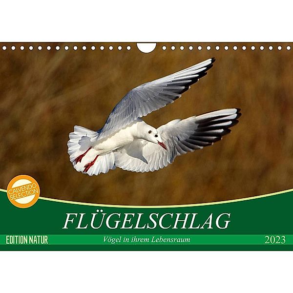 Flügelschlag - Vögel in ihrem natürlichen Lebensraum (Wandkalender 2023 DIN A4 quer), Axel  /  Elsner, Claudia Kottal