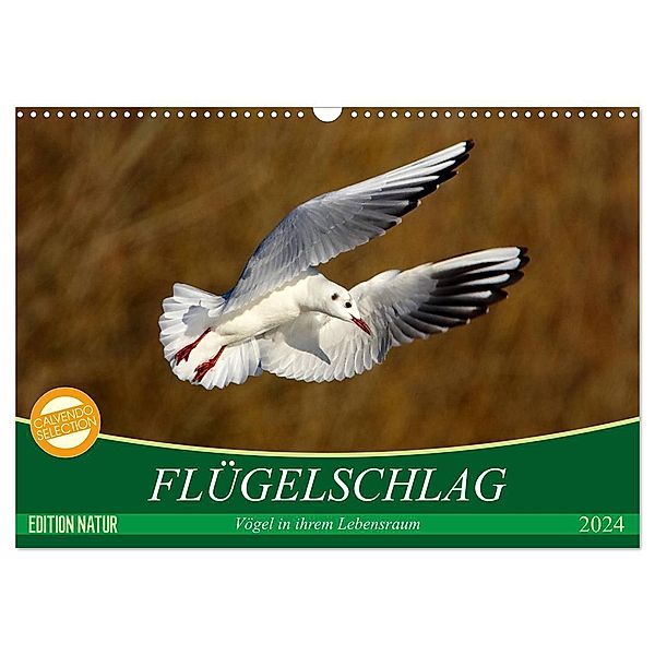 Flügelschlag - Vögel in ihrem natürlichen Lebensraum (Wandkalender 2024 DIN A3 quer), CALVENDO Monatskalender, Axel  /  Elsner, Claudia Kottal