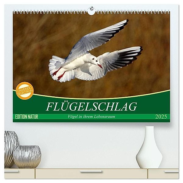 Flügelschlag - Vögel in ihrem natürlichen Lebensraum (hochwertiger Premium Wandkalender 2025 DIN A2 quer), Kunstdruck in Hochglanz, Calvendo, Axel  /  Elsner, Claudia Kottal